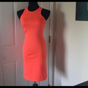 Coral Clover Canyon Dress